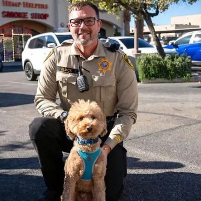 Cão abandonado no aeroporto de Las Vegas encontra nova família
