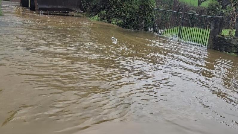 Município de Tábua pede aos agricultores que comuniquem prejuízos das tempestades