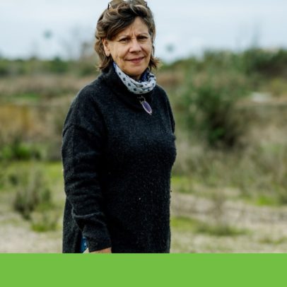 Fundo Ambiental investiu 3,6 milhões, mas Alagoas Brancas seguem em risco