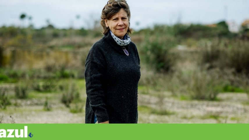 Fundo Ambiental investiu 3,6 milhões, mas Alagoas Brancas seguem em risco