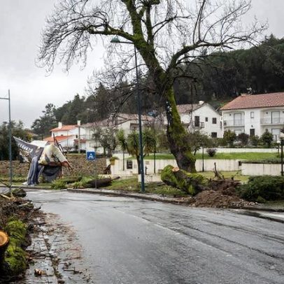 PSP reforça Leiria com polícias à civil para prevenir furtos