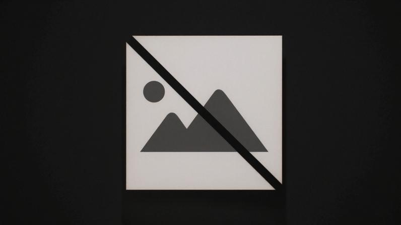 MP francês pede confirmação de proibição de ter cargos públicos a Le Pen