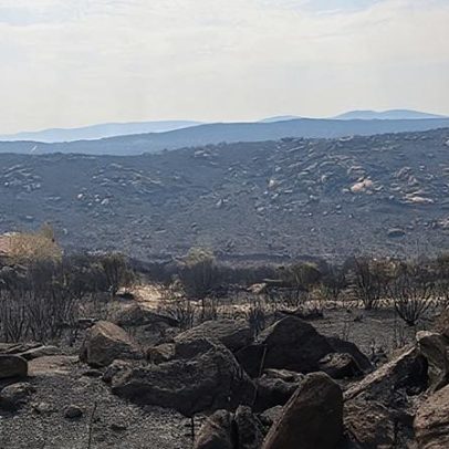 MP acusa jovens influencers de violação agravada e 27 crimes de pornografia em Loures