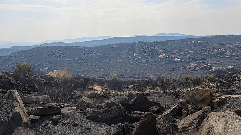 Inquéritos por crimes de perseguição aumentaram 25% em cinco anos