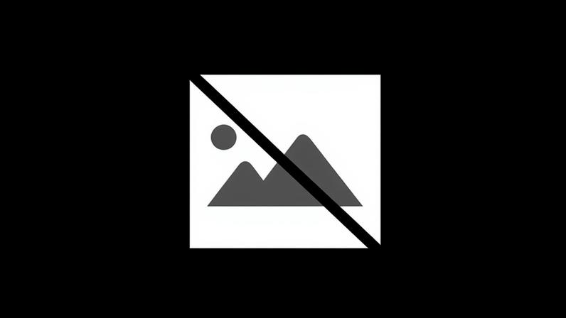 PJ detém suspeito de atear seis incêndios em Pinhel