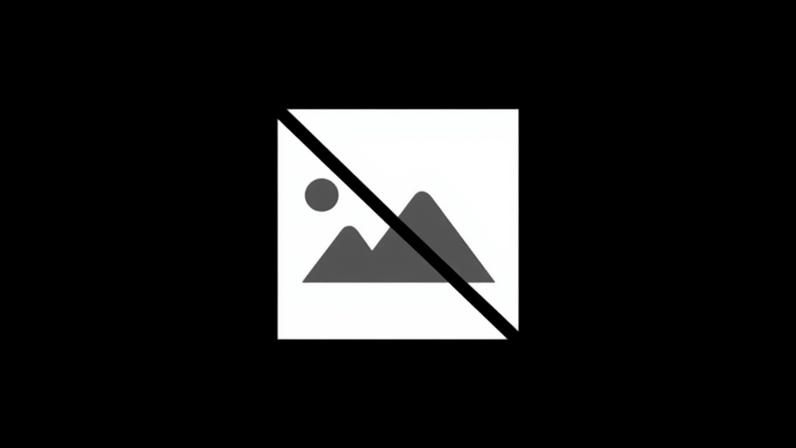 Departamento da filha de Putin planeia criar pombos-espiões