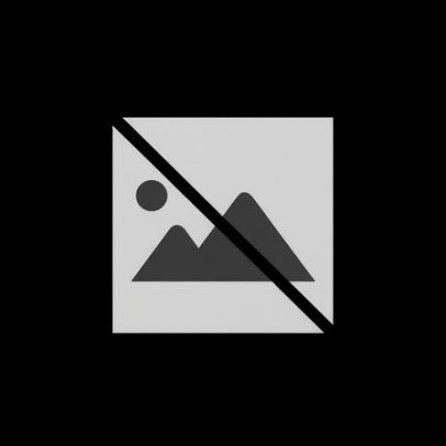 Feira do Queijo Serra da Estrela aponta Seia como produtora de queijo de ovelha