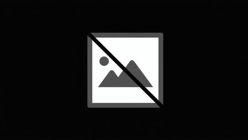 Em Ourém cortam-se árvores caídas e remendam-se telhados com lonas