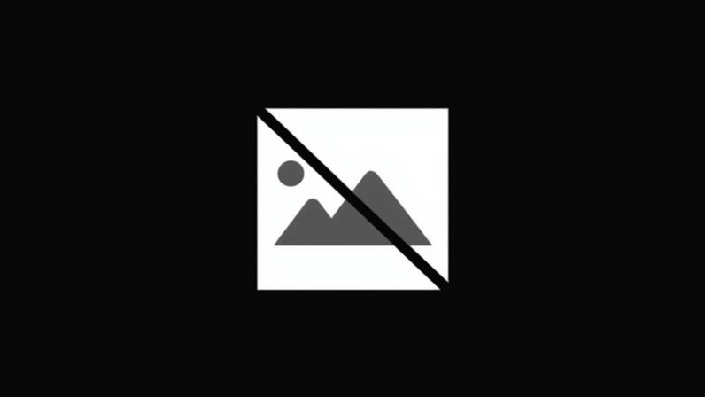 IL assume ter recebido duas queixas mas nenhuma visando o eurodeputado Cotrim Figueiredo