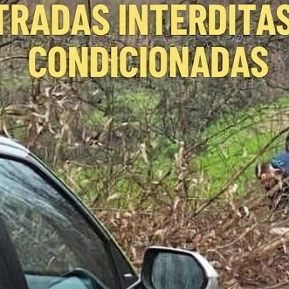 Tahrir: Os Dias da Revolução, segundo Alexandra Lucas Coelho