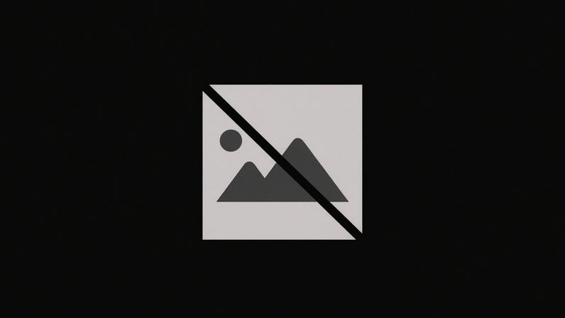 Numa carta aberta, as associações pedem compromissos públicos concretos e calendarizados, acompanhados de indicadores de avaliação e revisão periódica