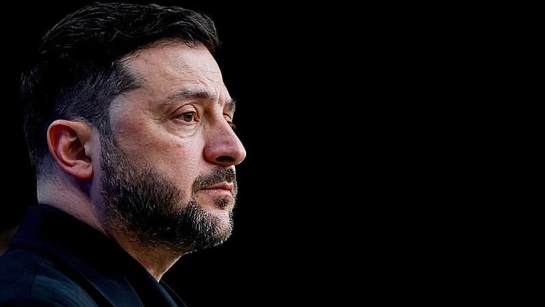 Grupo de Voluntários no Canil/Gatil Municipal do Seixal lança campanha ‘Os gatos do meu concelho’