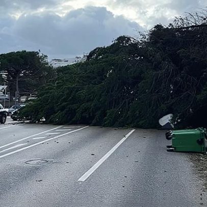 Busca e Salvamento ajuda população entre Famalicão, Leiria e Marinha Grande