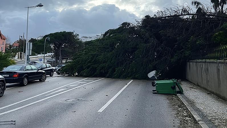 De Famalicão para Leiria / Marinha Grande: Ass. de Busca e Salvamento ajuda população atingida pelo mau tempo