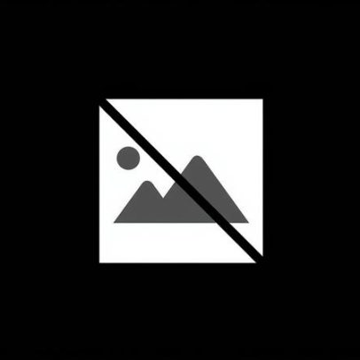 Visitas à fábrica revelam como nasce o gelado artesanal Santini