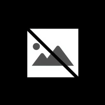 Alguns cães expandem vocabulário ao ouvir conversas dos donos