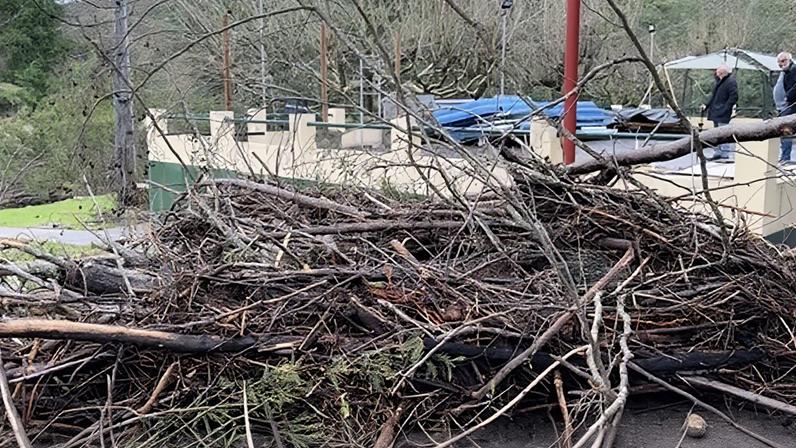 Rui Borges afasta saída de Hjulmand e fala em "proteção"