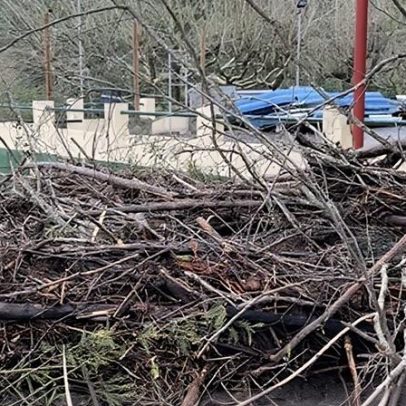 Proteção Civil alerta para previsões meteorológicas graves e medidas preventivas