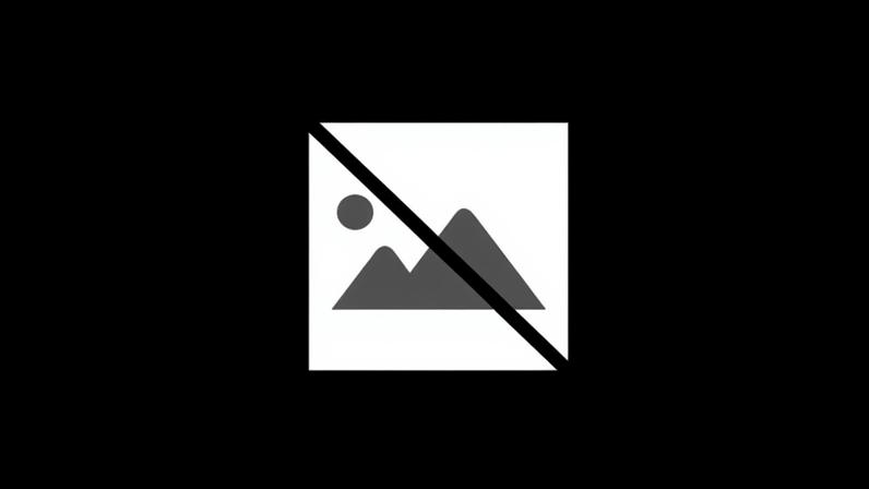 "Lisboa de luto". Acompanhe as reações ao descarrilamento do Elevador da Glória