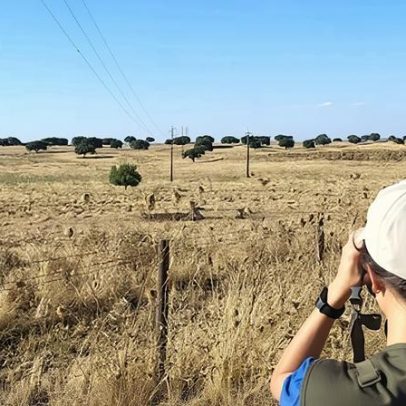 Bombeiros de Seia resgatam dois jovens na Serra da Estrela sob mau tempo