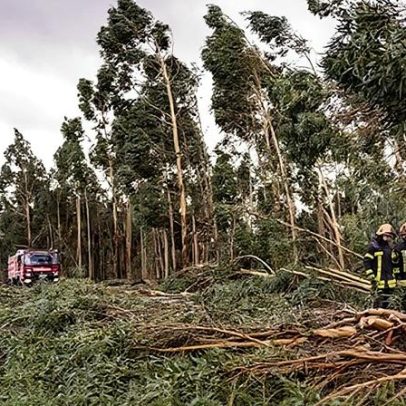 Pampilhosa da Serra apoia afetados por Kristin com materiais de construção