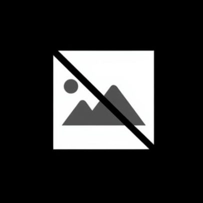 CM Vagos realiza Reunião Ordinária Pública a 5 de fevereiro de 2026