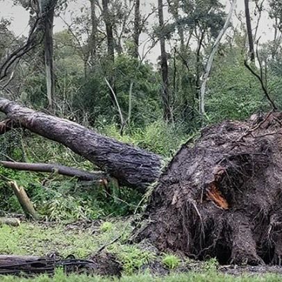 Reunião pública descentralizada de Palmela realiza-se na Asseiceira