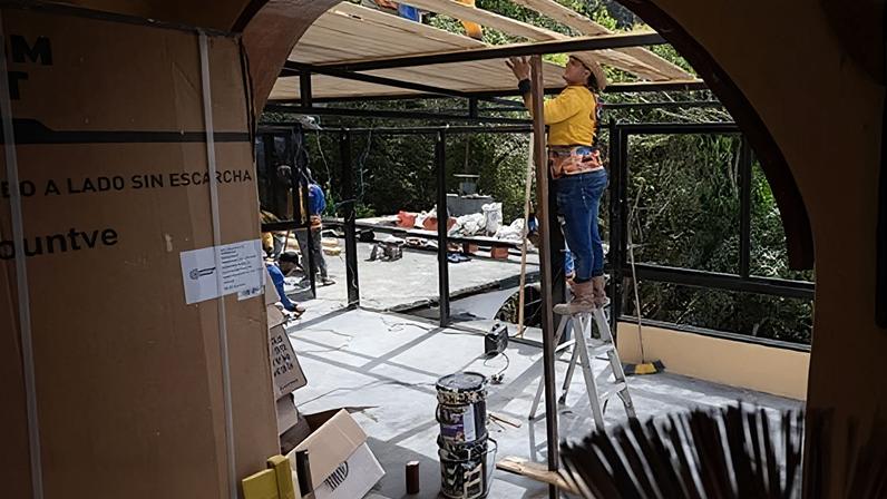 Agricultura: Preços dos bovinos recuam em várias áreas do Alentejo durante a semana 42 de 2025