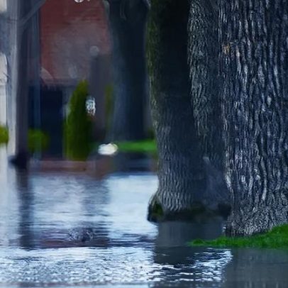 Xi defende mundo multipolar e globalização inclusiva em encontro com Orsi