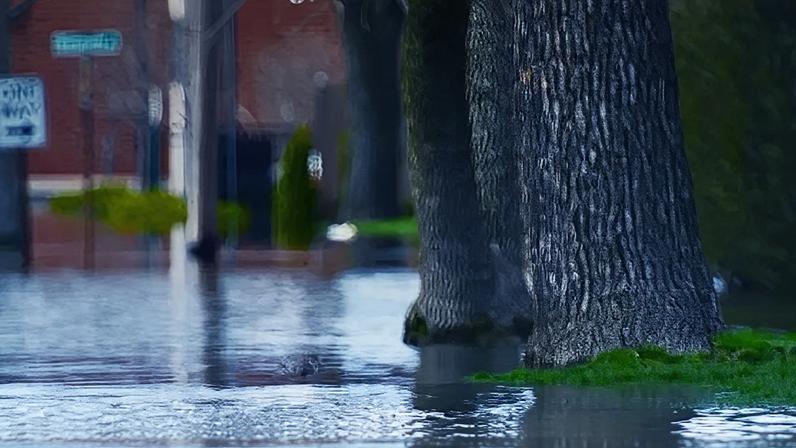 Xi defende mundo multipolar e globalização inclusiva em encontro com Orsi