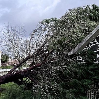 Ações de terras raras sobem com plano estratégico de Trump de 12 mil milhões