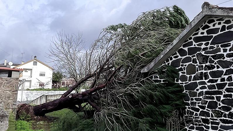 Ações de terras raras sobem com notícia de que Trump quer criar stock estratégico de 12 mil milhões de dólares