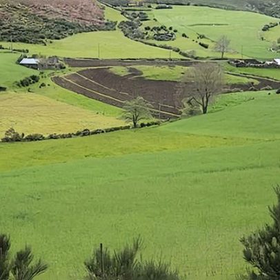 SEIA: CISE destaca importância dos lameiros e das práticas tradicionais