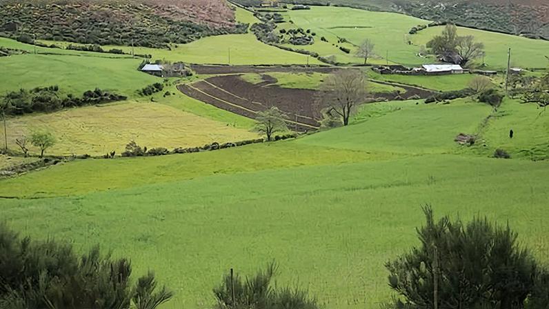 SEIA: CISE destaca importância dos lameiros e das práticas tradicionais