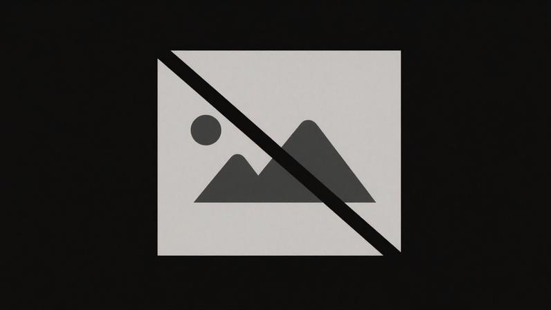 Invictus Viseu destaca importância do movimento no sucesso escolar infantil