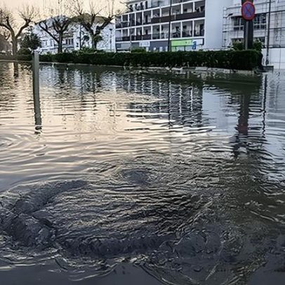 Alunos de Marvão aprendem literacia financeira com o Politécnico de Portalegre