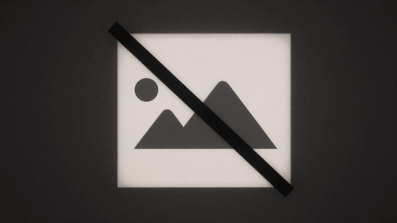 VILHA VELHA DE RÓDÃO: Desfile e Feira de Domingo Gordo