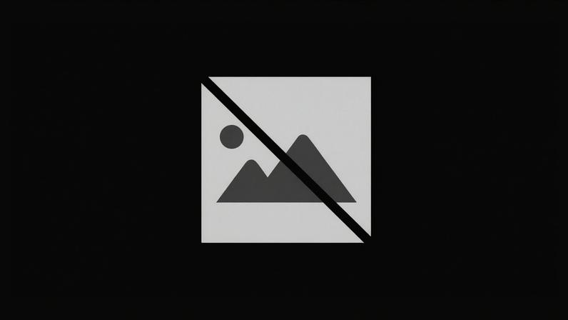 PINHEL: 31ª Feira das Tradições