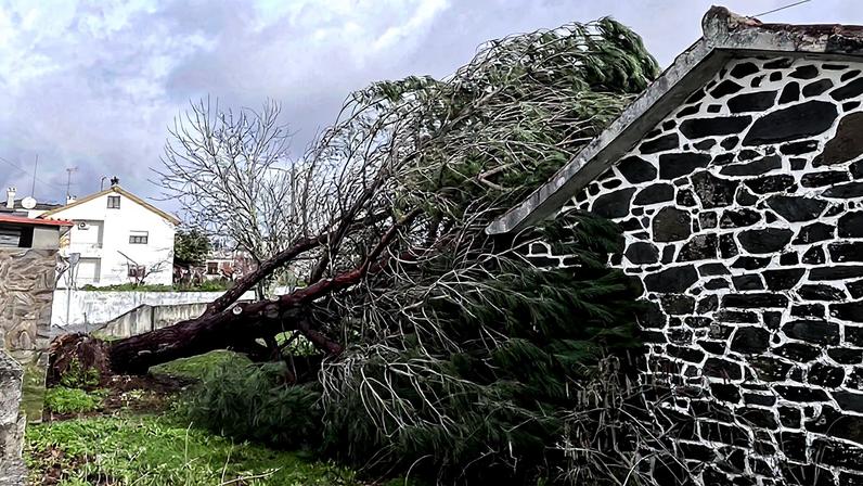 Jovem de 13 anos nada quatro horas para salvar mãe e irmãos à deriva na Austrália