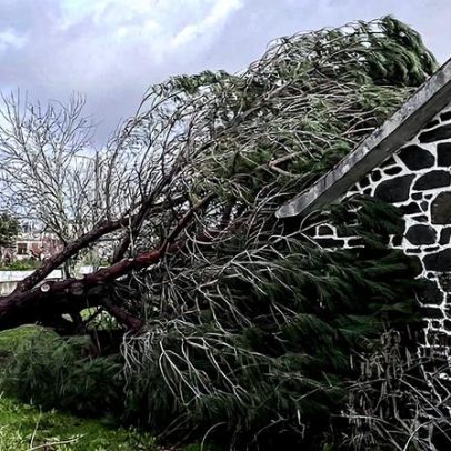 SpaceX absorve xAI e Musk aposta em centros de IA no espaço