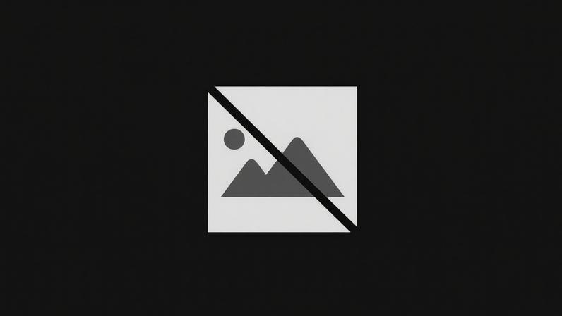 Trabalho conjunto do CROAS e da ASPA fortalece a proteção e o bem-estar animal em Santarém