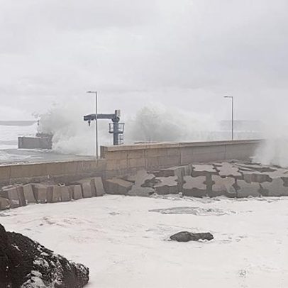 Um ano em que a solidariedade foi meta