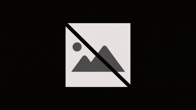 CIMAC coordena resposta solidária do Alentejo Central às zonas afetadas pela Tempestade Kristin