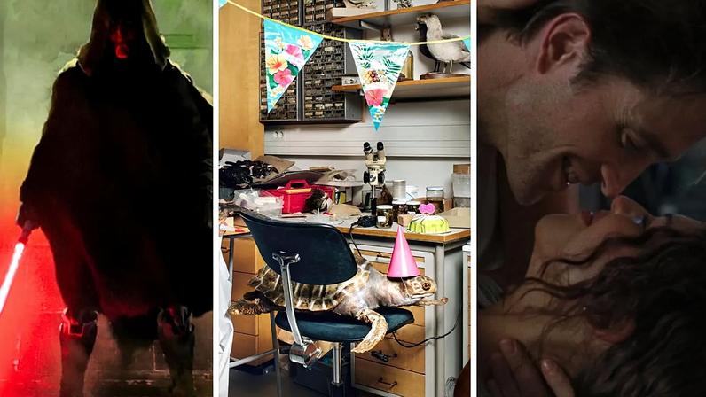 'Star Wars: Maul - Shadow Lord'; Maija Tammi, Immortals Birthday, 2020; 'The Drama'