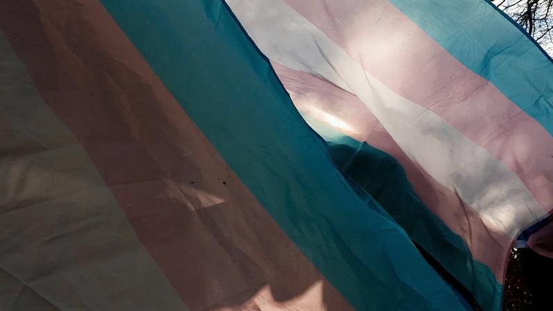 Parlamento votou esta quinta-feira três projetos-lei para alterar a lei da identidade de género