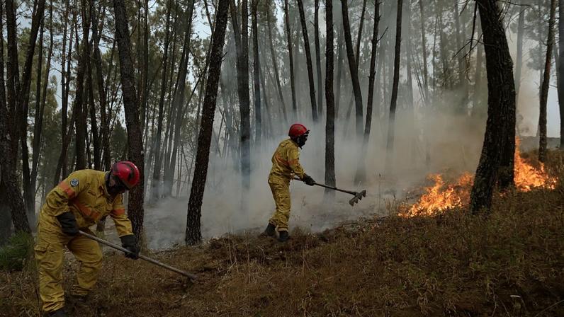 Bombeiros tentam extinguir um incêndio florestal na aldeia de Chaveira, perto de Mação, no centro de Portugal, segunda-feira, 22 de julho de 2019.