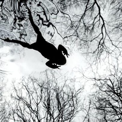 Reino Unido revela vencedores dos prémios de fotografia de vida selvagem