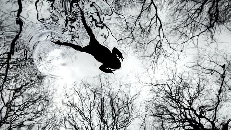 Nada sapo em charco da floresta