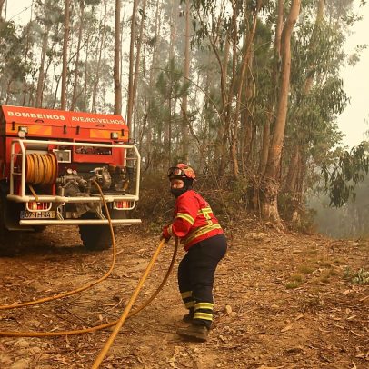 Governo reforça combate a incêndios e alerta para maior risco este ano