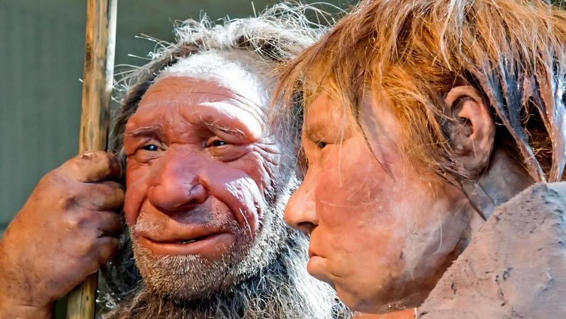 ARQUIVO: Reconstruções de um homem de Neandertal, à esquerda, e de uma mulher no museu Neandertal em Mettmann, Alemanha, março de 2009